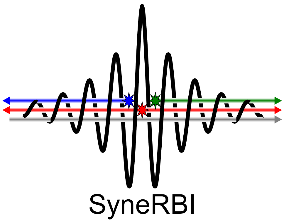 CCP SyneRBI logo